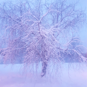 Himlens blad