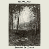 Shrouded In Leaves