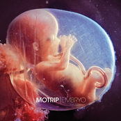 Embryo by Motrip