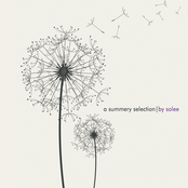 A Summery Selection By Solee