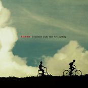 I Wouldn't Trade That For Anything