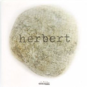 Herbert