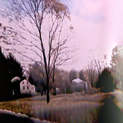 Ghosts Are All Looking For Pennies In The Trees