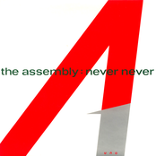 The Assembly: Never Never
