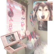 nintendo dsi azerbaijan