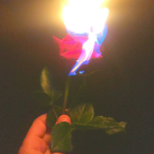 Who Cares How It Ends