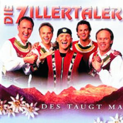 Das Pure Leben by Die Zillertaler