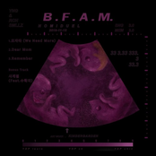 B.F.A.M(Brother from another mom)
