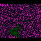 No Use For Happy Songs