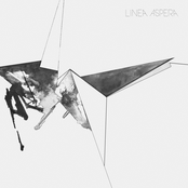 Reunion by Linea Aspera