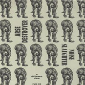 Arsedestroyer / Noiseslaughter