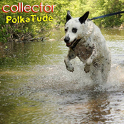 PolkaTude