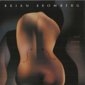 I Fell Asleep A Child And Woke Up A Man by Brian Bromberg