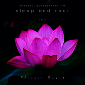 Peaceful Atmospheres for Sleep and Rest Vol 1