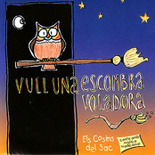 Vull Una Esombra Voladora