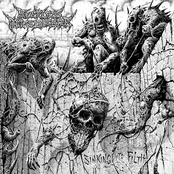 Sinking into Filth