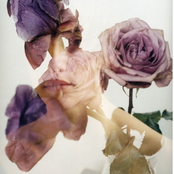 The Return Of The Sensitive Guys