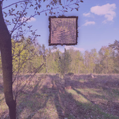 Uncrumbling Dystopia