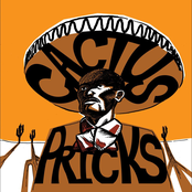 Cactus Pricks