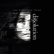 Pineapple Thief: Dissolution