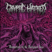 Mesmerized by the Malignant Gaze