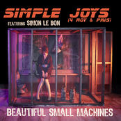 Simple Joys Single EP