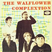 The Walflower Complextion/When I'm Far from You Disc 1