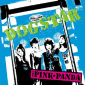 Rolling Dice by The Pink☆panda