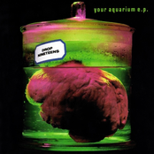 Drop Nineteens: Your Aquarium EP