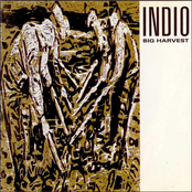 This Golden Land by Indio