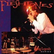 Ride Your Pony by The Fleshtones