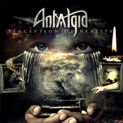 Perception Of Reality