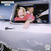 Fuzz Tapes, Vol. 2