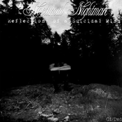 Reflections Of A Suicidal Mind