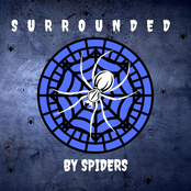 Surrounded by Spiders