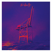 Flower Of The Cosmos