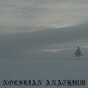 Norskian Anathium II