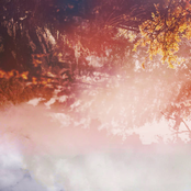 Forests of Crystal and Gardens of Glass