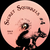 secret squirrels