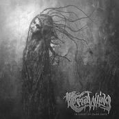 In Light of Dark Days (EP)