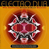 electro dub