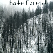 As The Sunlight Dies by Hate Forest