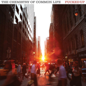 Fucked Up: The Chemistry of Common Life