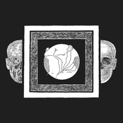 Ash Borer/Fell Voices Split