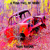 A Head Full Of Noise / Hana Haruna
