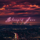 Stoopid Love