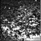 Nobody Remembers the Oldest God