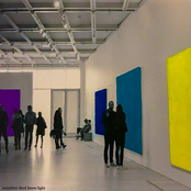 sunshine shed knew light