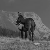 Réquiem Pra Pátrias