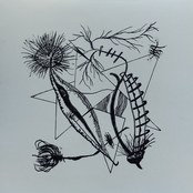 Et si c’était le Vent qui avait Raison ‽